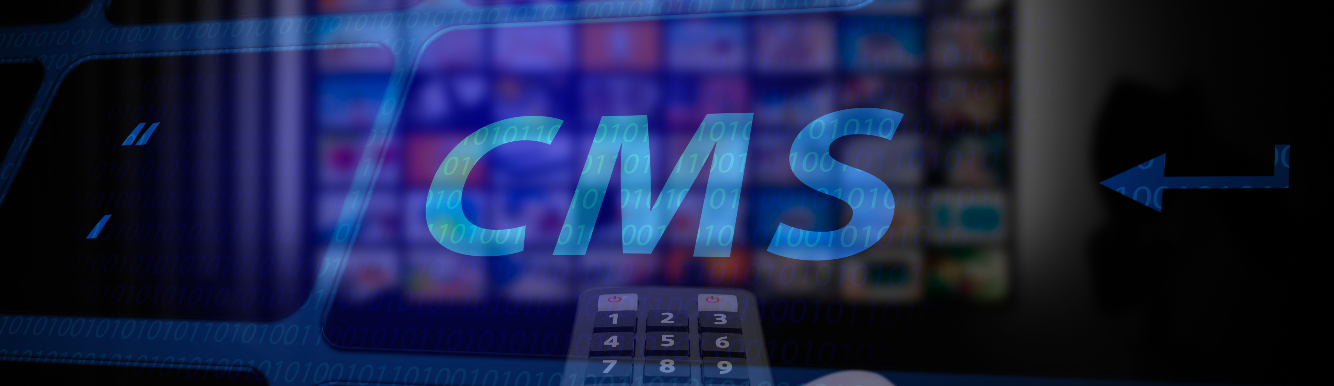 OTT CMS